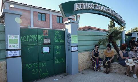 Έρευνα Prorata για Newsbomb.gr: Συντριπτικό το «όχι» στα ζωολογικά πάρκα
