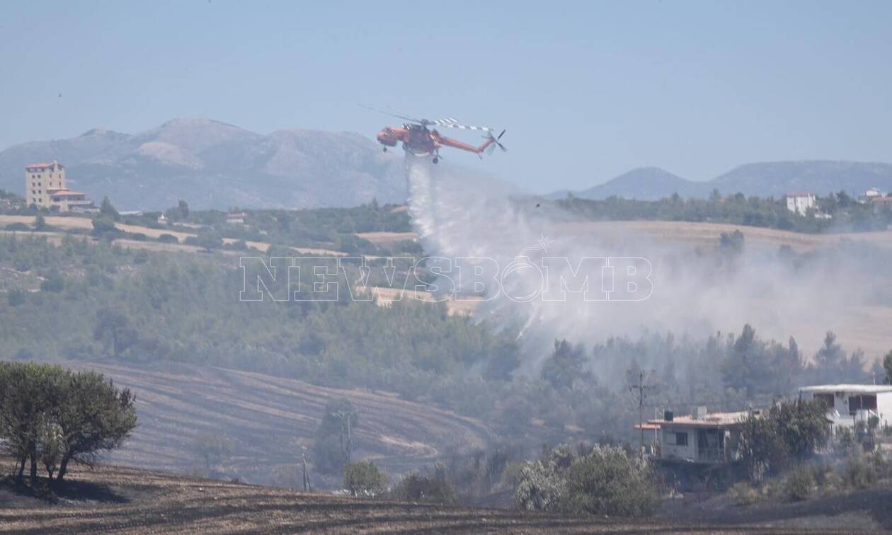 To Newsbomb.gr στη μεγάλη φωτιά στο Σχηματάρι - Ενισχύθηκαν οι δυνάμεις της Πυροσβεστικής