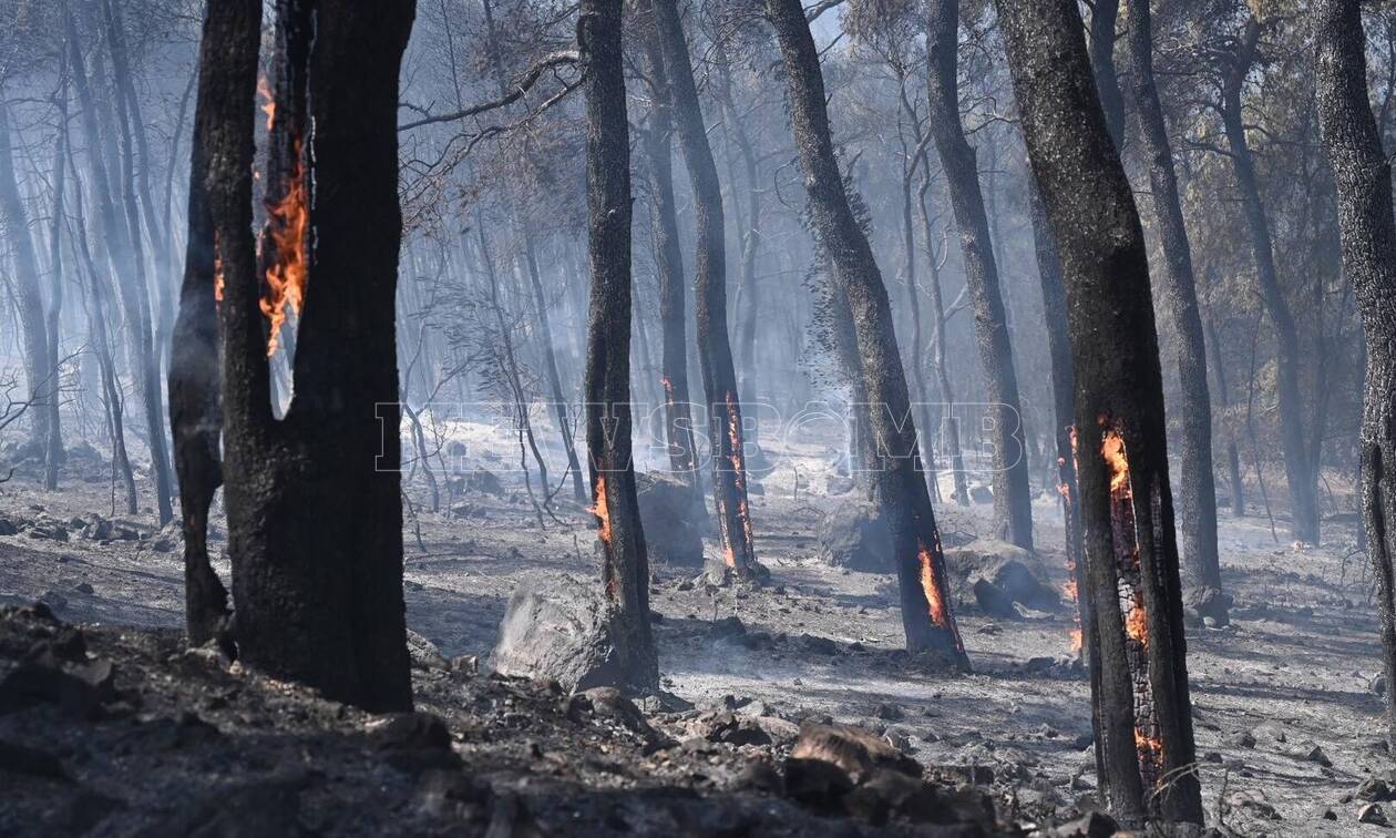 Live Blog: Σε πύρινο κλοιό η χώρα - Μεγάλες φωτιές σε Πόρτο Γερμενό, Άραξο, Κόρινθο