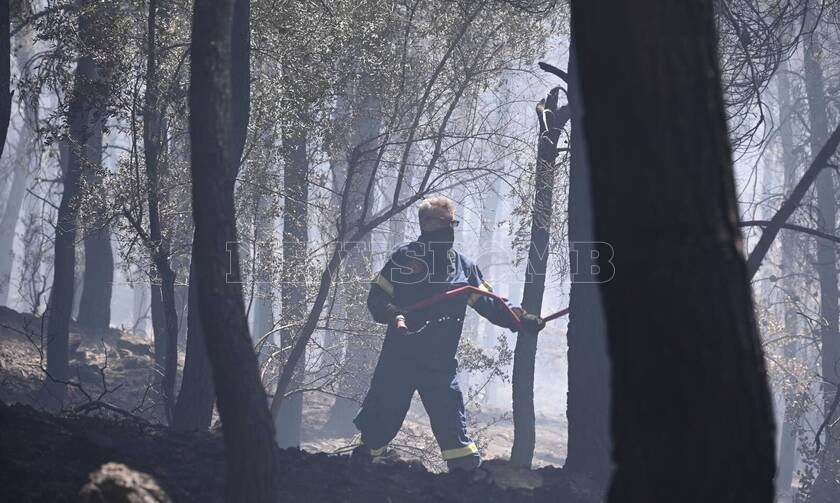 Φωτιά τώρα στο Πόρτο Γερμενό: Κάηκε σπίτι 