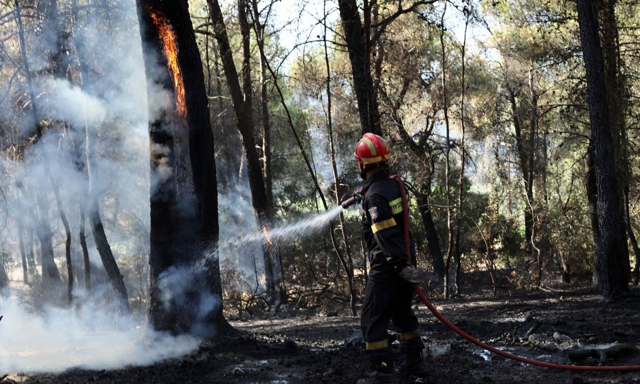 Φωτιά σε εξέλιξη στην Ηλεία: Τρίτο μέτωπο στα Σταματελαίικα