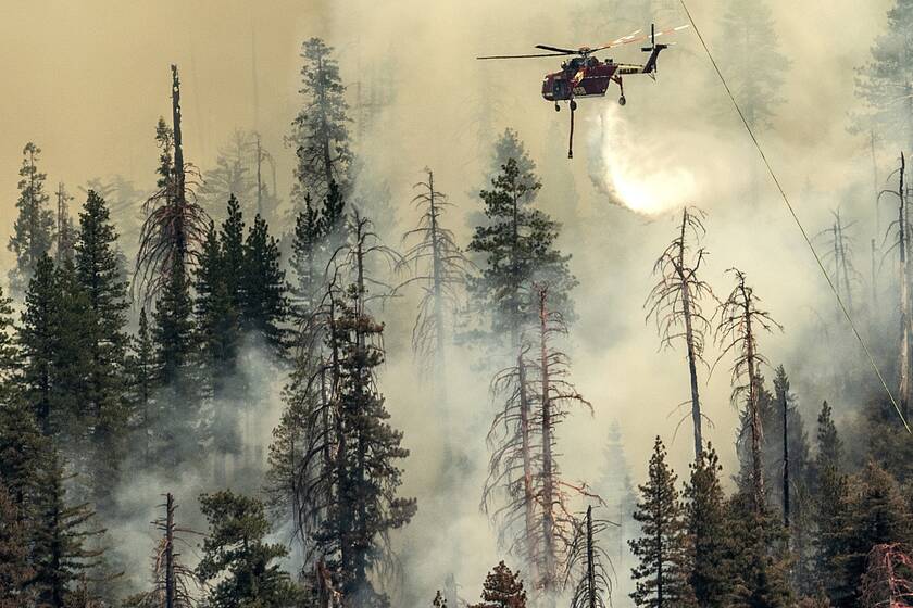 Καλιφόρνια: Πυρκαγιά-γίγας απειλεί τις υπεραωνόβιες σεκόγιες, τα μεγαλύτερα δέντρα του κόσμου