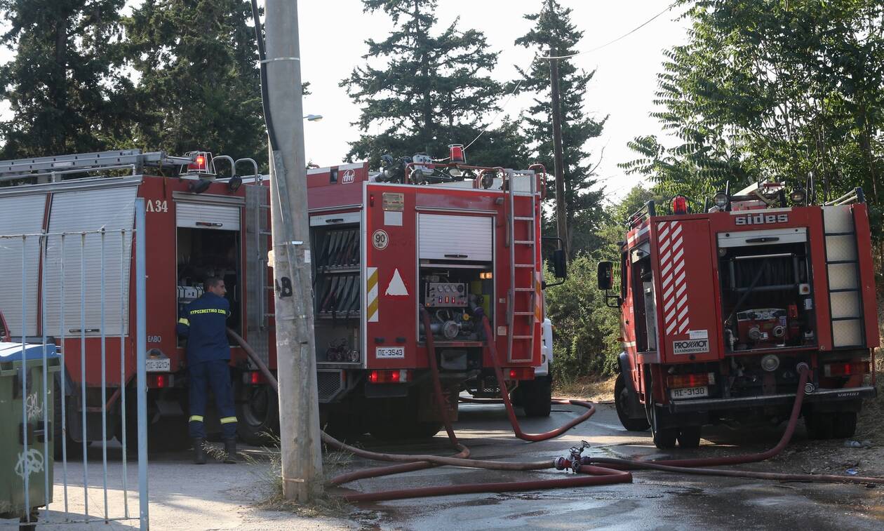 Φωτιά στη Νταού Πεντέλης - Άμεση παρέμβαση της πυροσβεστικής