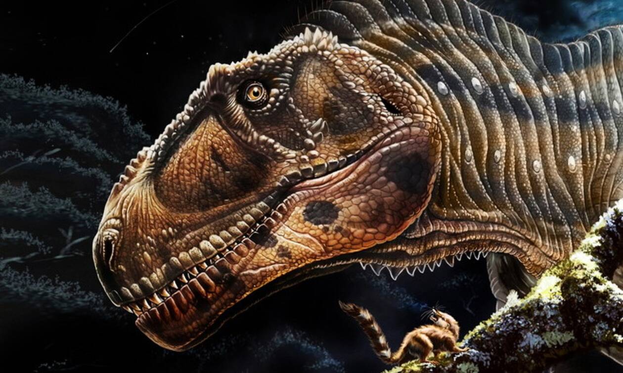 Αργεντινή: Ανακαλύφθηκε ο νέος γιγάντιος δεινόσαυρος Meraxes