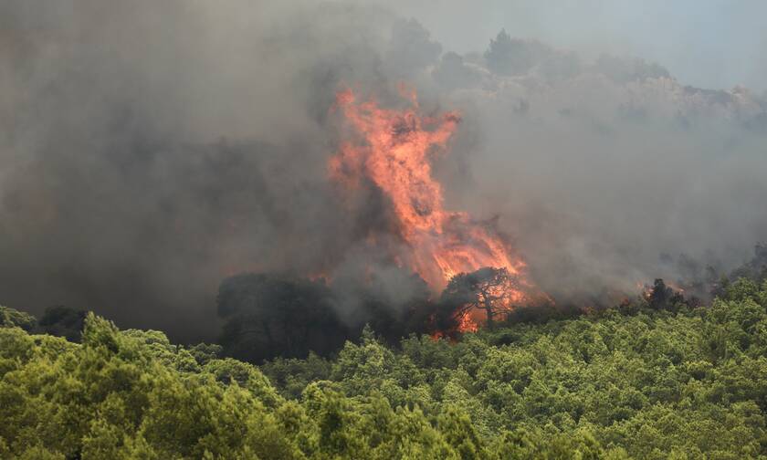 Φωτιά τώρα: Αναζωπυρώσεις στα χωριά στη Σάμο – Μάχη της Πυροσβεστικής στα πύρινα μέτωπα