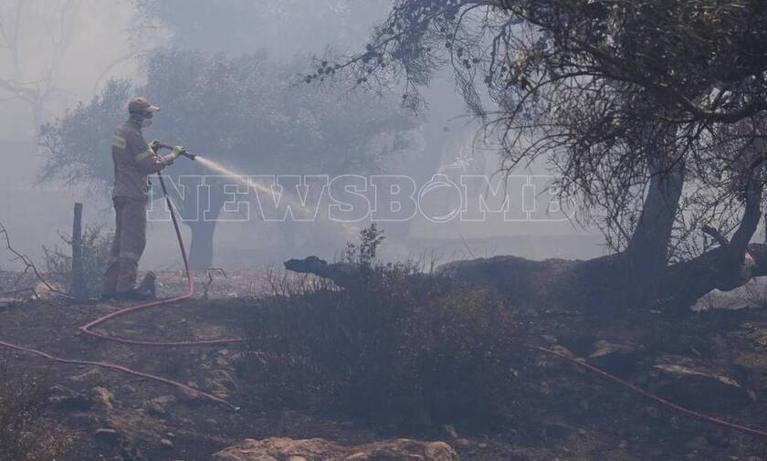 Φωτιά στη Λαυρεωτική: Εκκενώθηκαν δύο οικισμοί – Καλύτερη η εικόνα στο μέτωπο