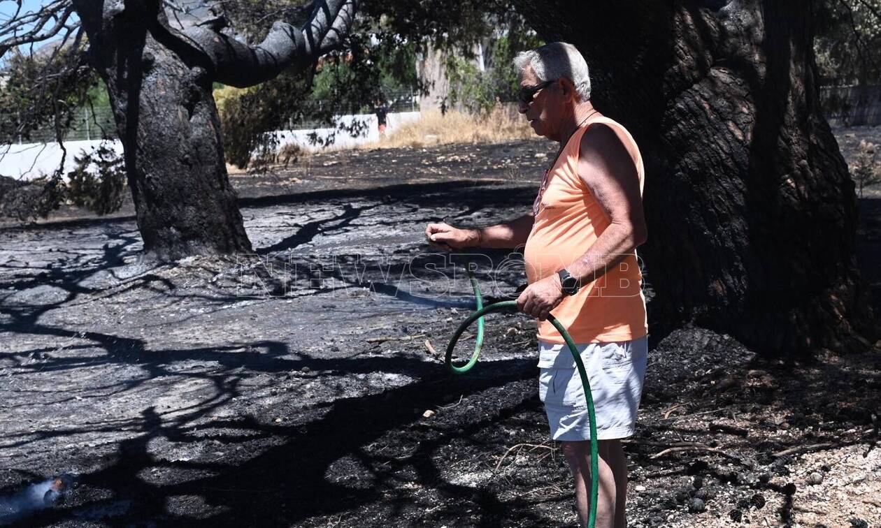 Φωτιά στη Λαυρεωτική: Μαρτυρία στο Newsbomb.gr - «Ξεκίνησε από σκουπίδια η πυρκαγιά»