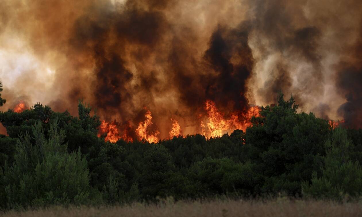 Σε πύρινο κλοιό η χώρα: Εκτός ελέγχου η πυρκαγιά στην Καλλιθέα Αχαΐας, μάχη στο Ρέθυμνο