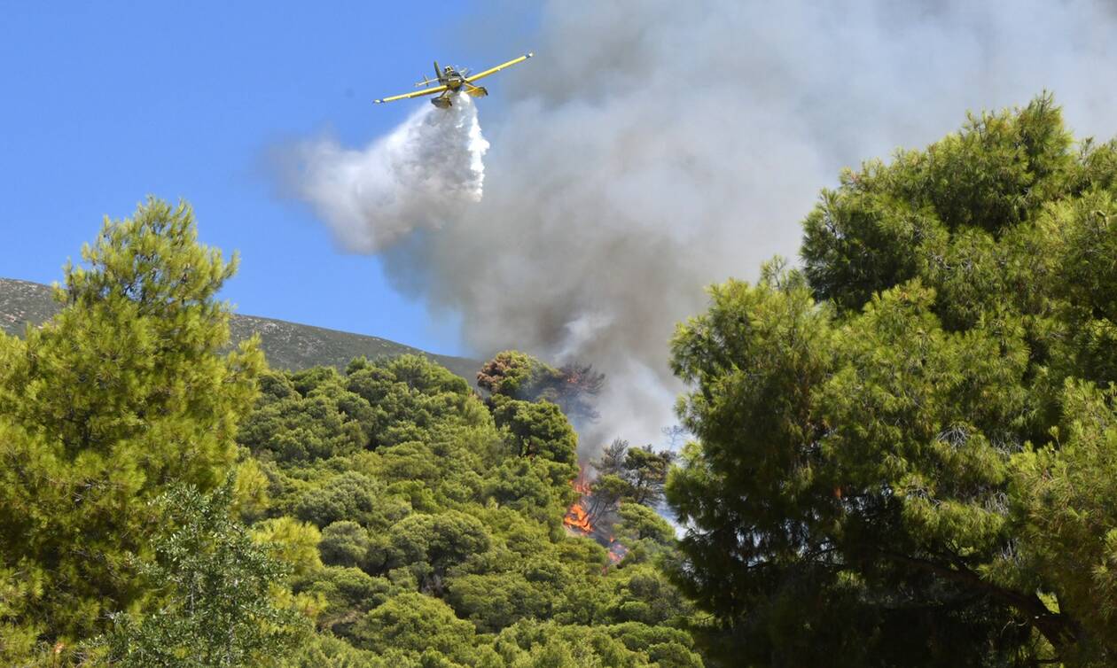 Οριοθετήθηκε η φωτιά στο δάσος της Κέρης στο Ηράκλειο - Παραμένουν οι δυνάμεις