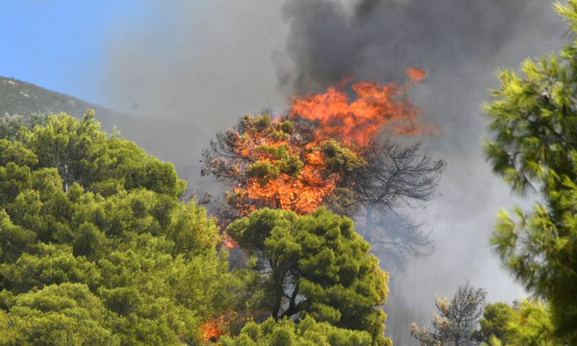 51 δασικές πυρκαγίες στην Ελλάδα το τελευταίο 24ωρο