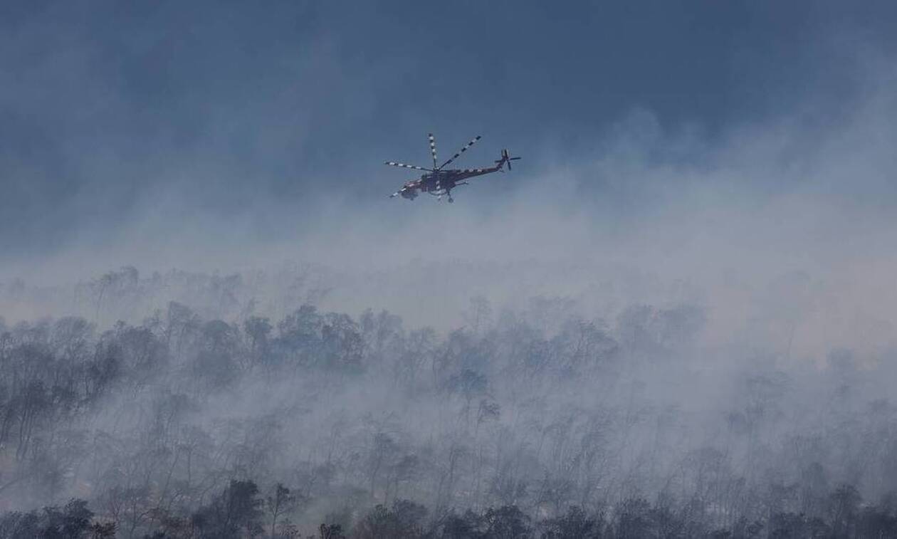 Φωτιά τώρα: Μεγάλη πυρκαγιά στο Κορωπί - Στη μάχη αεροσκάφη και ελικόπτερα