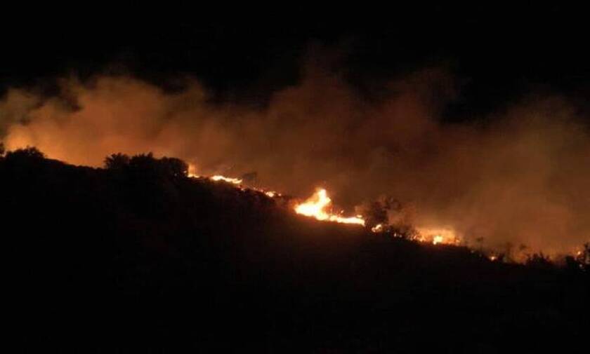 Πυρκαγιές στην Κρήτη: «Οργανωμένο σχέδιο» λέει ο δήμαρχος Αγίου Βασιλείου