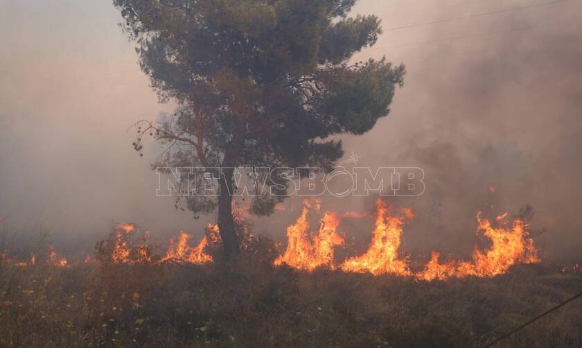 Ρεπορτάζ Newsbomb.gr: Μαρτυρία κατοίκου για τη φωτιά - «Το μέτωπο ξεπερνά τα δυο χιλιόμετρα»