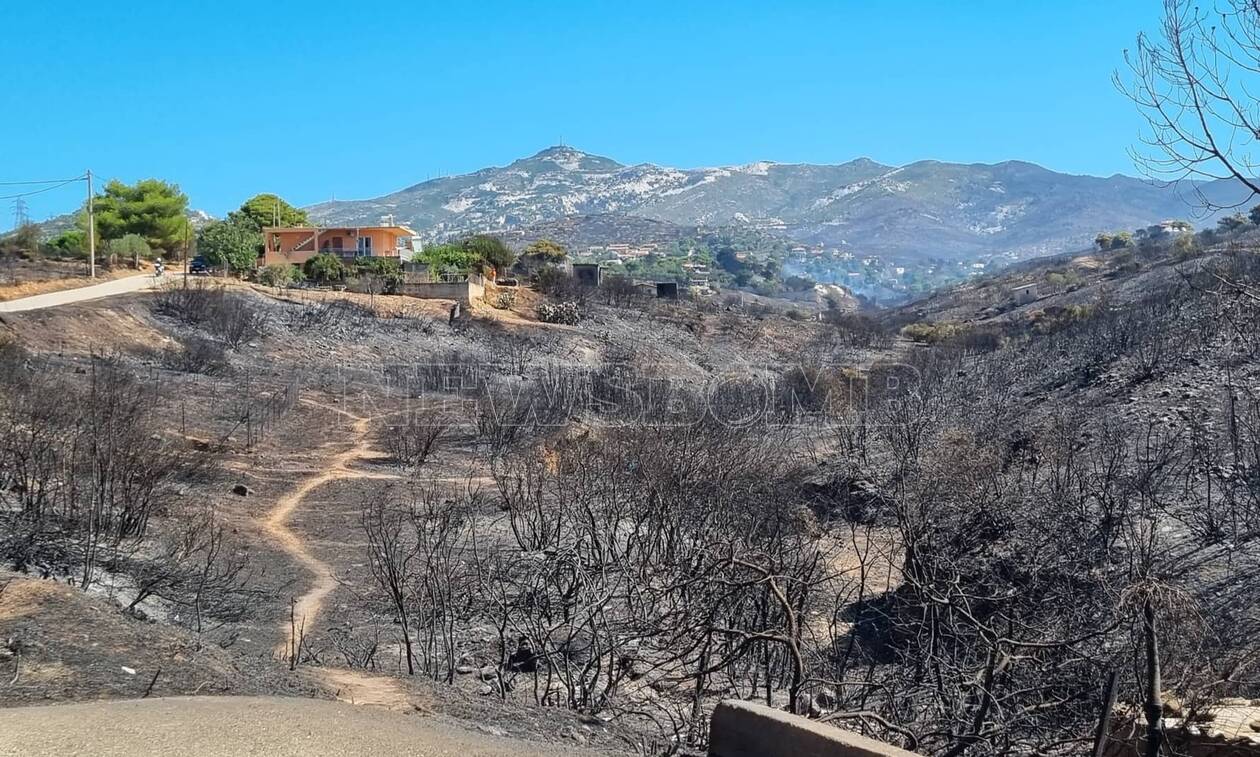 Γέρακας: Κρανίου τόπος η περιοχή που «σαρώθηκε» από τη μεγάλη φωτιά