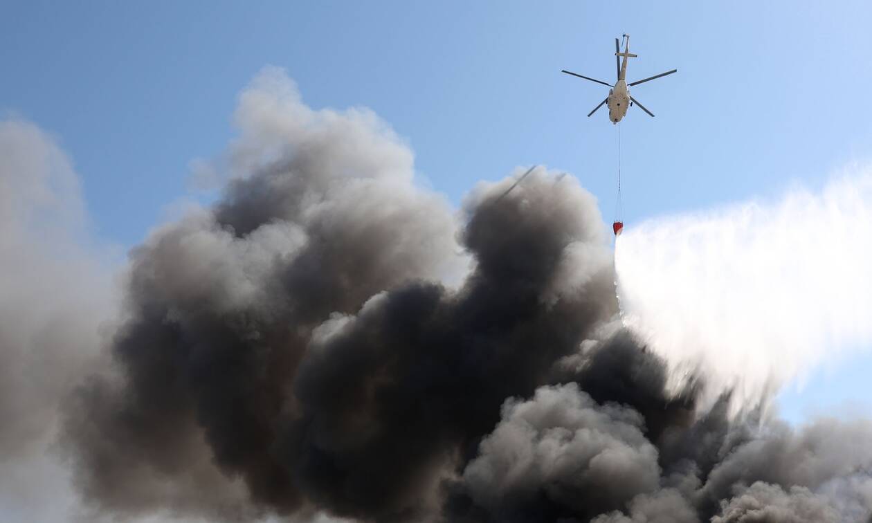 Φωτιά στην Φωκίδα: Υπό έλεγχο η πυρκαγιά στην περιοχή Τολοφώνας