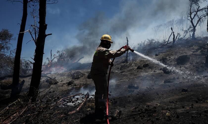 Φωτιά τώρα στα Μέγαρα - Μαρουσάκης: Μεγάλη η ένταση των ανέμων - Αγγίζουν 7 και 8 μποφόρ