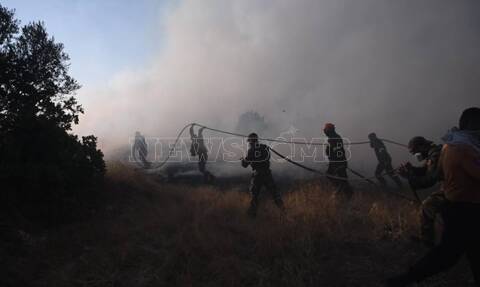 Ρεπορτάζ Newsbomb.gr: Συγκλονίζουν εικόνες και βίντεο από το μέτωπο της φωτιάς στα Μέγαρα