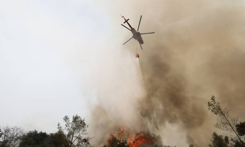 Φωτιά τώρα στον Έβρο: Απειλεί περιοχή Natura στο δάσος Δαδιάς - Τι είπε ο δήμαρχος στο Newsbomb.gr