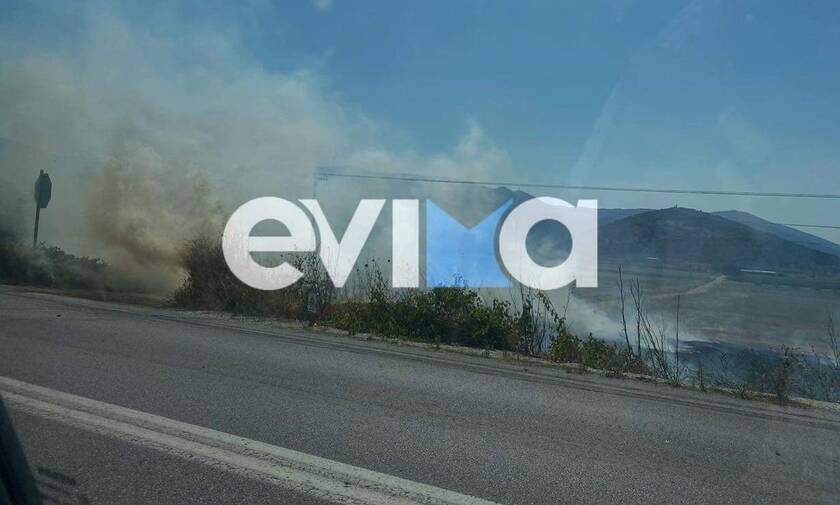 Φωτιά τώρα: Νέα πυρκαγιά στην Εύβοια - Άμεση κινητοποίηση της Πυροσβεστική