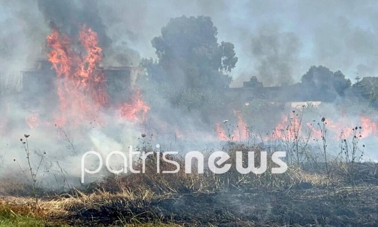 Φωτιά τώρα στην Ηλεία: Πυρκαγιά στο Φανάρι Ανδρίτσαινας