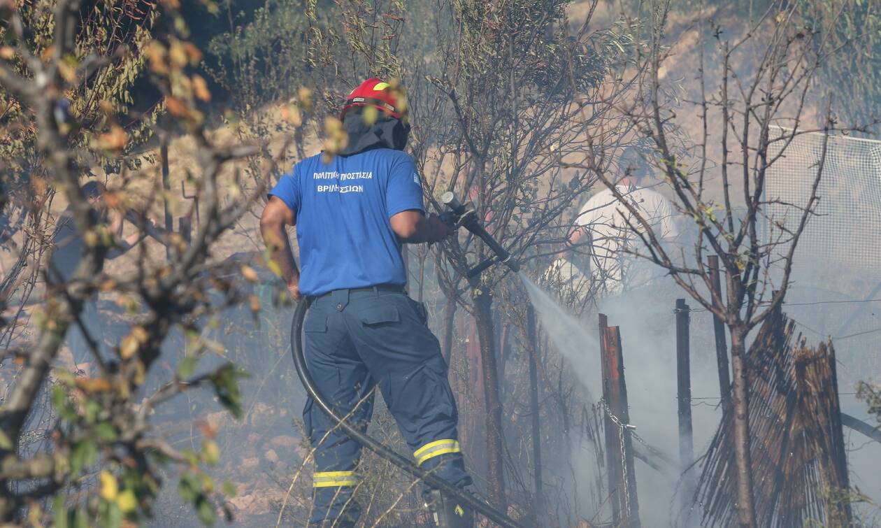 Ρεπορτάζ Newsbomb.gr: Καθησυχαστικός ο δήμαρχος Ανδρίτσαινας - Κρεστένων για τη φωτιά στο Φανάρι
