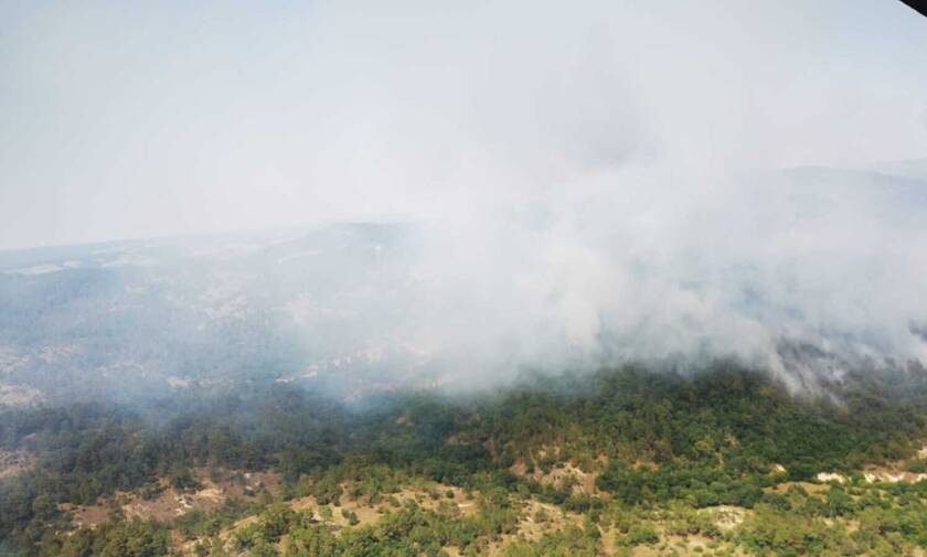Φωτιά τώρα: Αντίξοες συνθήκες στο δάσος της Δαδιάς – Μάχη για να κρατηθεί η περίμετρος του μετώπου