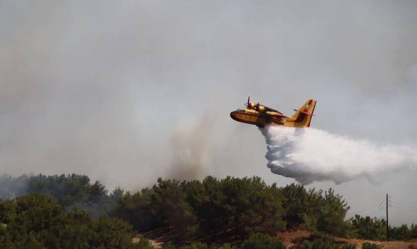 Φωτιά στη Μυτιλήνη: Canadair περνούν μέσα από τις φλόγες – Η ηρωικές προσπάθειες των πιλότων (vid)