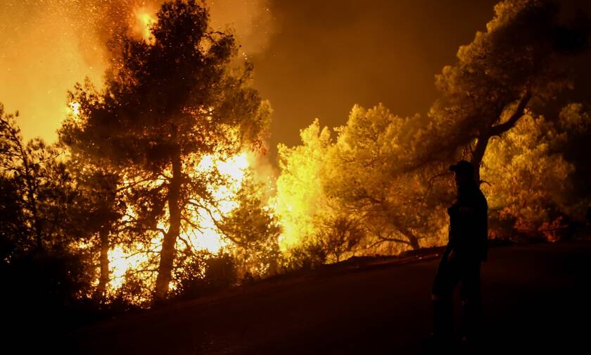 Αντιπεριφερειάρχης Έβρου στο Newsbοmb.gr: «Η φωτιά έρχεται στη Δαδιά - Είναι η πιο δύσκολη νύχτα»