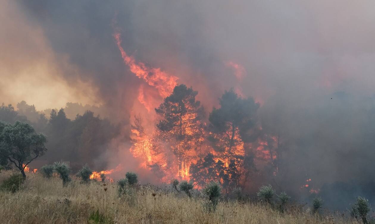 Φωτιά τώρα στον δήμο Φαιστού Κρήτης - Μεγάλη επιχείρηση της Πυροσβεστικής