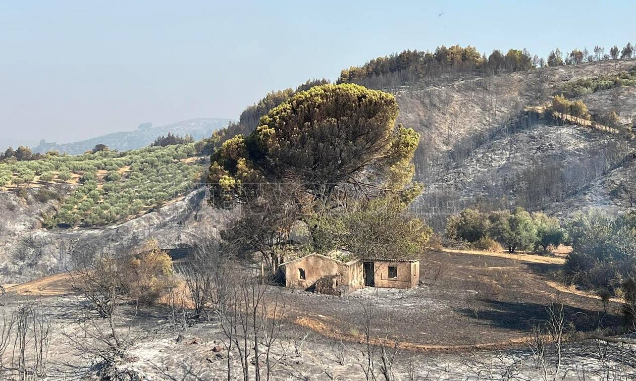 Μάχη με τις φωτιές: 58 πυρκαγιές το τελευταίο 24ωρο στη χώρα - Live οι εξελίξεις