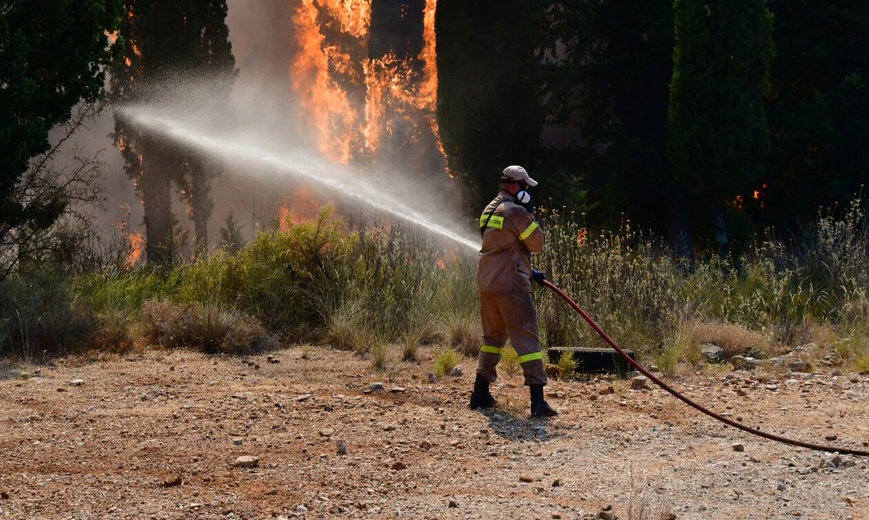 Φωτιά τώρα στην Πέλλα - Επιχειρούν ισχυρές δυνάμεις της Πυροσβεστικής
