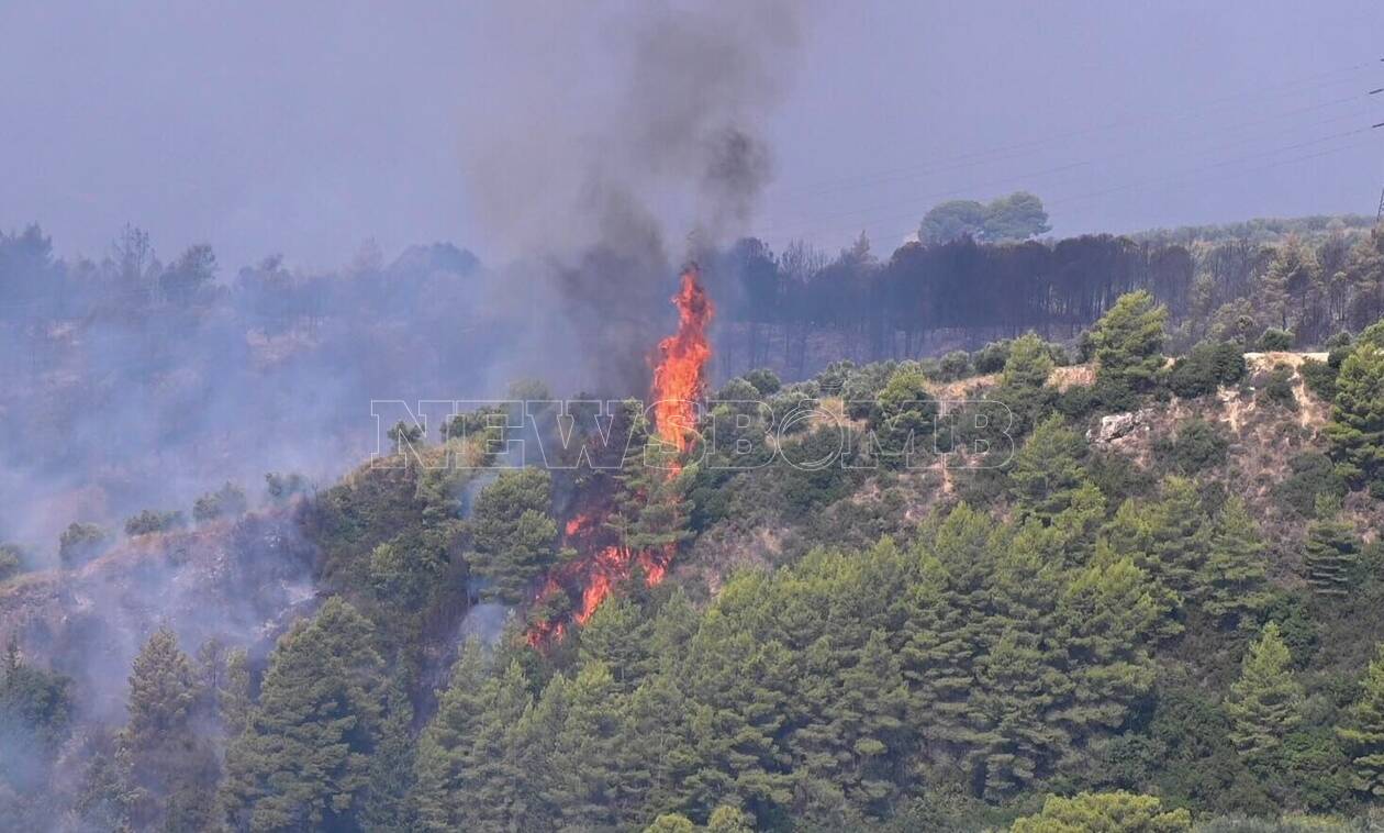 Φωτιά τώρα: Το Newsbomb.gr στην πολύπαθη Ηλεία – Εικόνες και βίντεο από τη μάχη με την πύρινη κόλαση