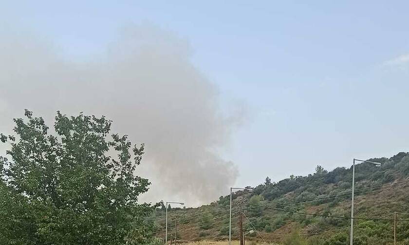 Φωτιά τώρα: Πυρκαγιά σε Σιθωνία και Κασσάνδρα Χαλκιδικής