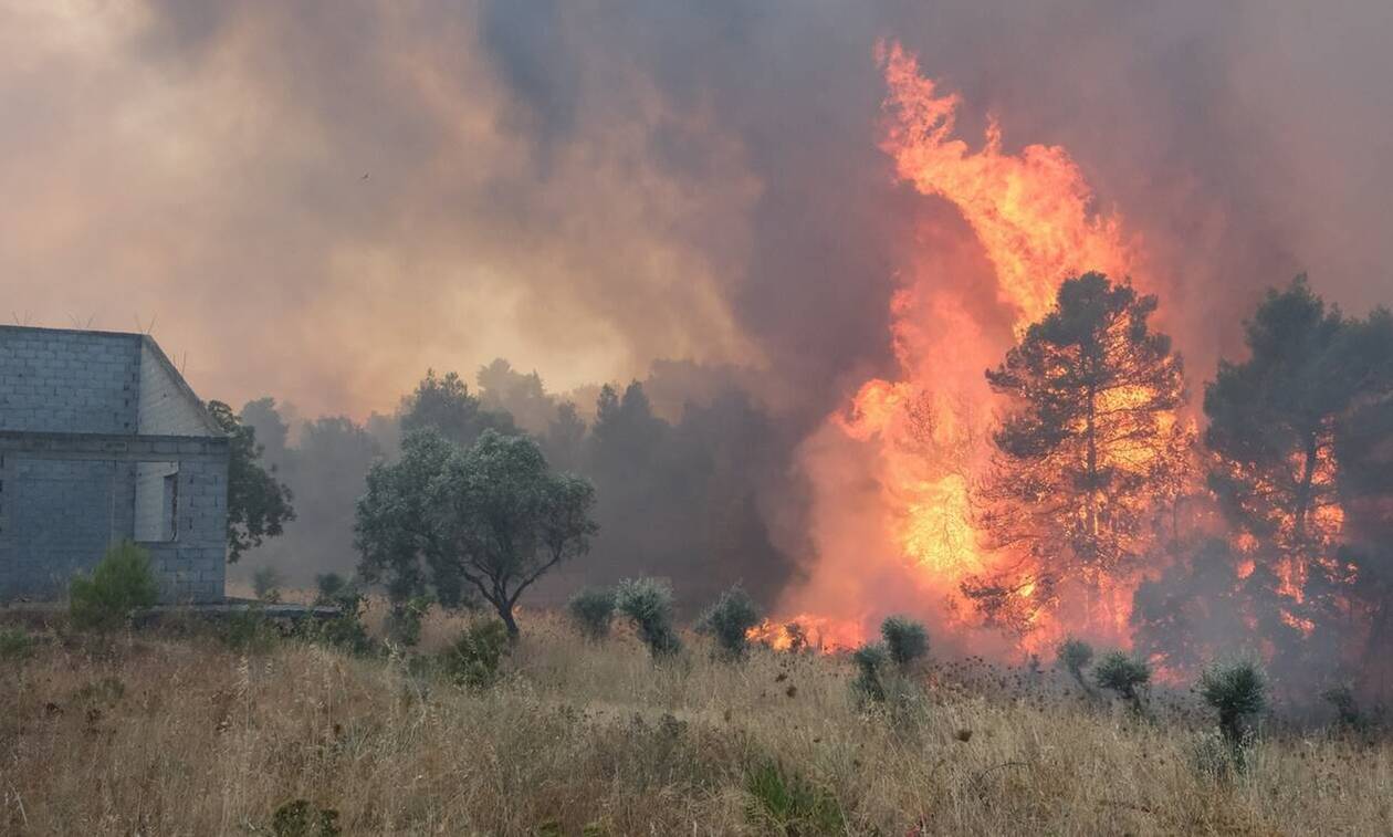 Φωτιά: Συνεχίζεται η μάχη στη Δαδιά, οριοθετήθηκε η πυρκαγιά στη Μυτιλήνη, σε ύφεση στην Ηλεία