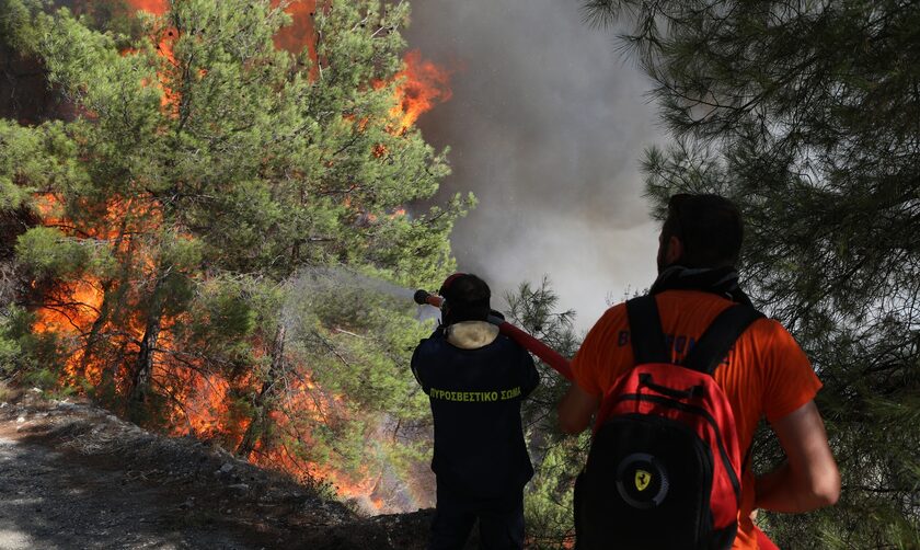 Φωτιά στη Μυτιλήνη: Επιχειρούν ξανά οι εναέριες δυνάμεις - Υπό μερικό έλεγχο η πυρκαγιά στο Λασίθι
