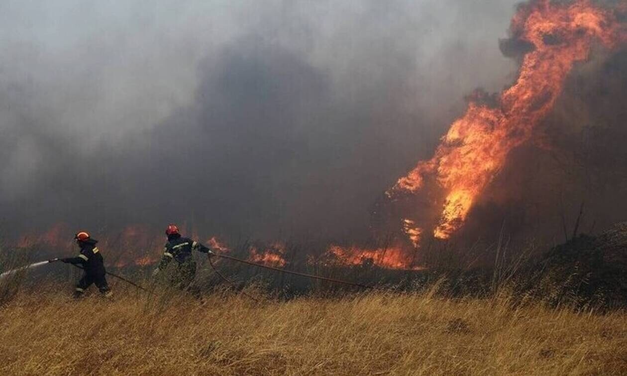 Φωτιά στο Δίστομο: Κύκλωσαν τα πύρινα μέτωπα οι πυροσβέστες  - Συνεχίζεται η μάχη με τις φλόγες