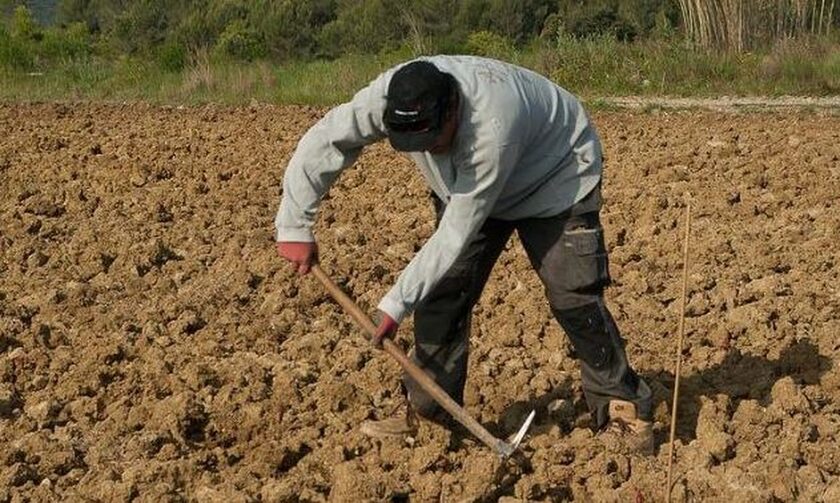 Νέοι Αγρότες - ΟΠΕΚΕΠΕ: «Κλείδωσαν» οι πληρωμές σε τρεις περιφέρειες