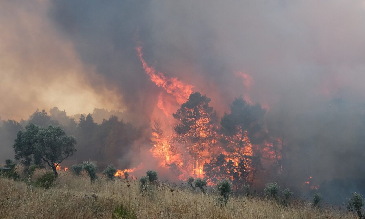 Φωτιές: Πάνω από 360 πυρκαγιές σε μια εβδομάδα – Σε ύφεση τα μέτωπα σε Ζάκυνθο, Ηλεία, Σέρρες