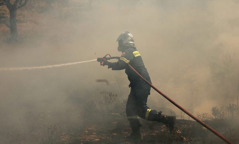 Φωτιά: Μαίνεται η μεγάλη πυρκαγιά στην Θάσο – Επί ποδός επίγειες και εναέριες δυνάμεις