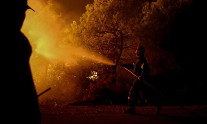 Φωτιά στη Θάσο: Μάχη με τις φλόγες μετά την αναζωπύρωση – Κάηκαν έλατα