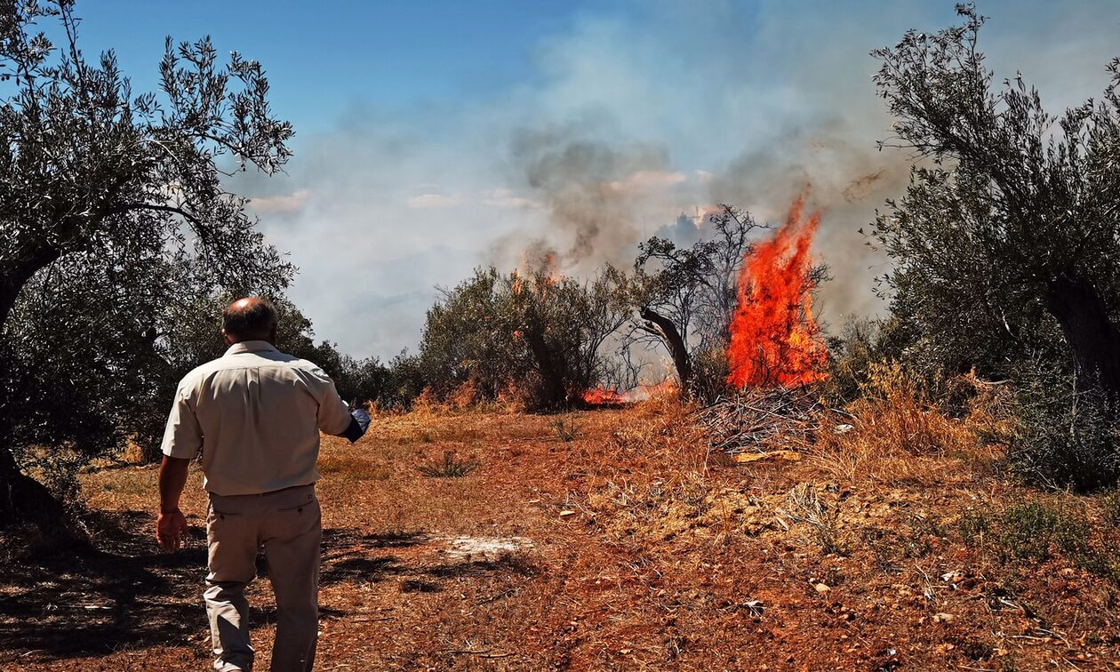 Οριοθετήθηκε η φωτιά στα Πυργιώτικα Ναυπλίου - 51 δασικές πυρκαγιές σε ένα 24ωρο