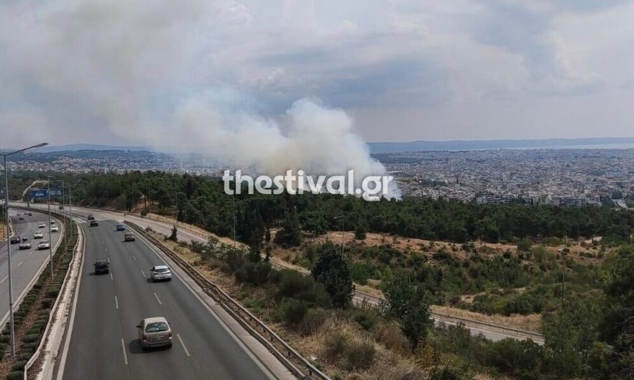 Φωτιά τώρα στη Θεσσαλονίκη: Σε εξέλιξη η πυρκαγιά στο δάσος του Σέιχ Σου