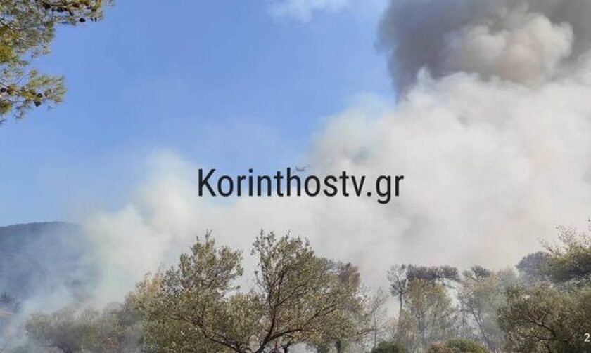 Φωτιά ξέσπασε νωρίς το απόγευμα σε δασική έκταση στο Κατακάλι Κορινθίας.
