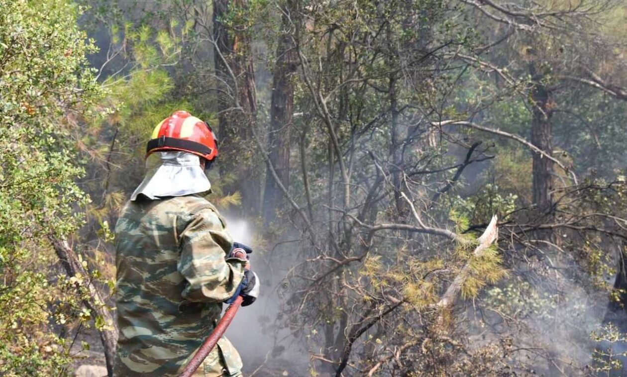 Συναγερμός στη Πυροσβεστική: Δασική πυρκαγιά στο Δίστομο Βοιωτίας
