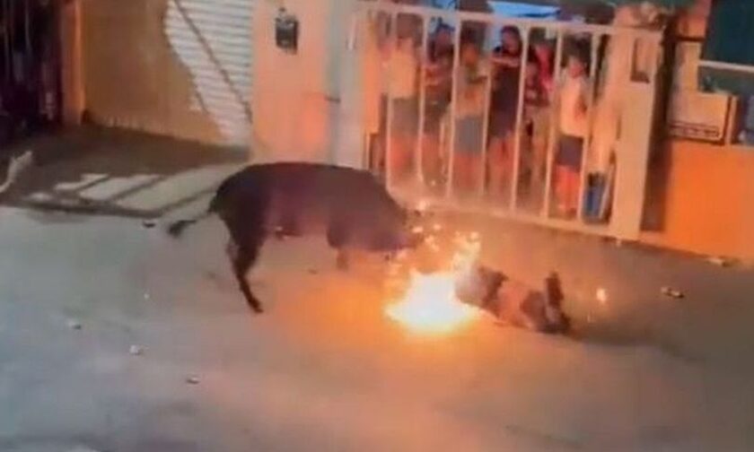 Τραγωδία στην Ισπανία: Ταύρος σκότωσε άνθρωπο σε φεστιβάλ