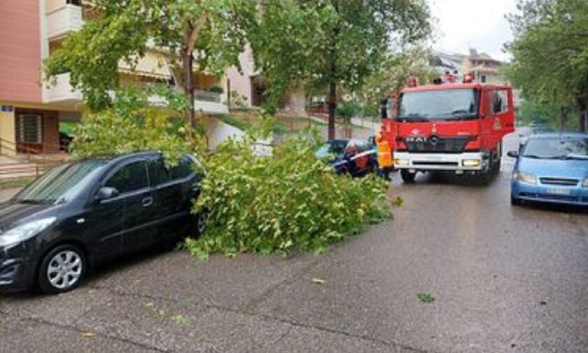Αγρίνιο: Έπεσε δέντρο πάνω σε αυτοκίνητο