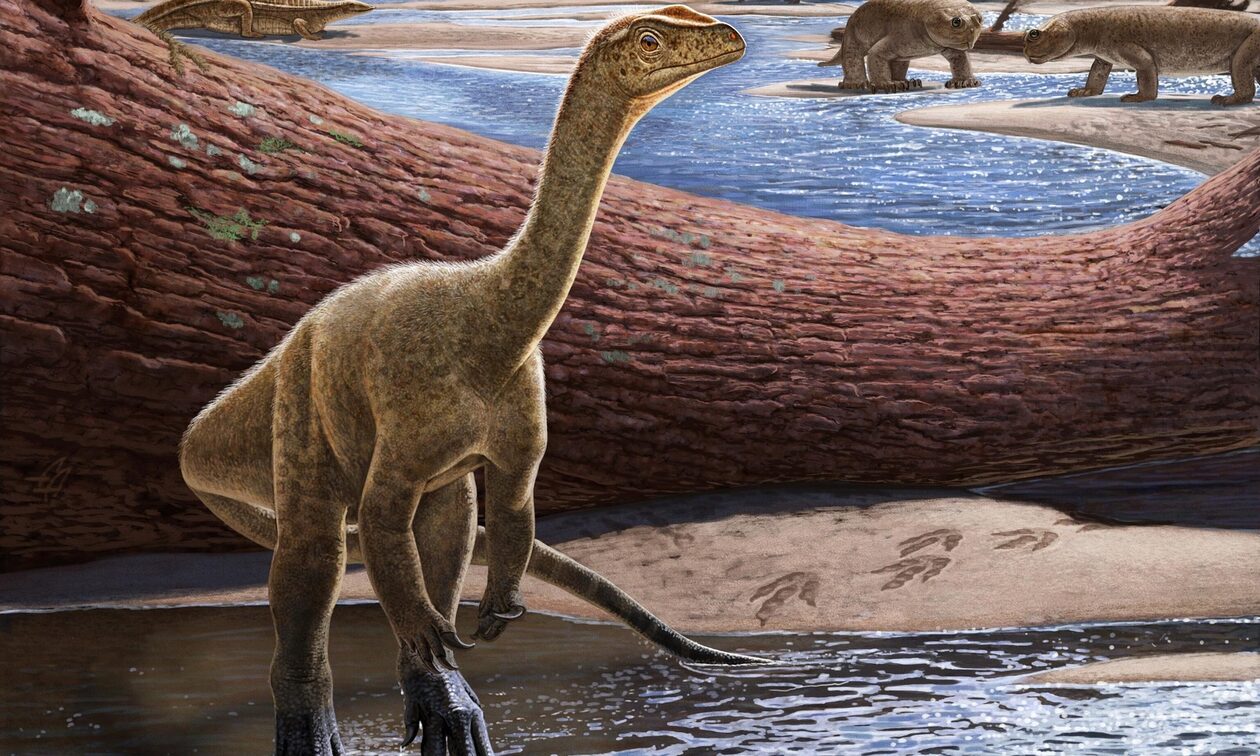 Ανακαλύφθηκε ο αρχαιότερος δεινόσαυρος της Αφρικής