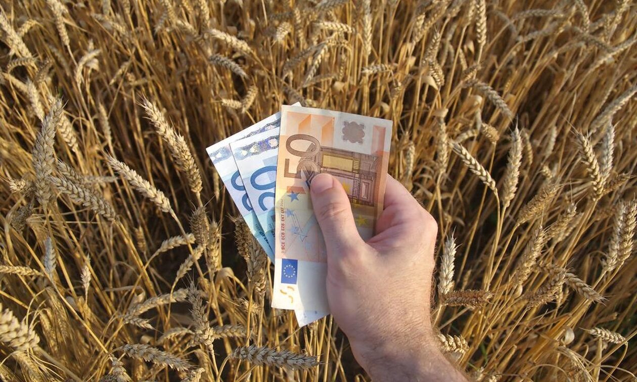 Νέοι Αγρότες: 1.101 οι δικαιούχοι στην Περιφέρεια Πελοποννήσου - Θα λάβουν μέχρι 40.000 ευρώ