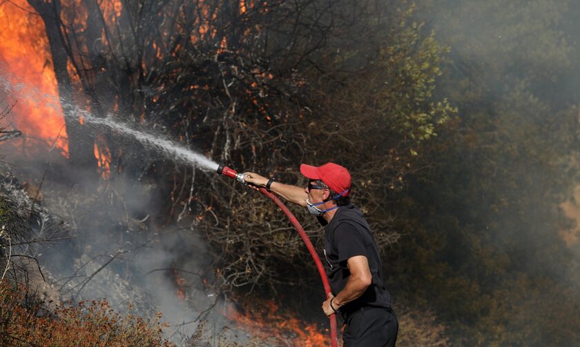 Φωτιά τώρα: Πυρκαγιά στη Νέα Μανωλάδα Ηλείας