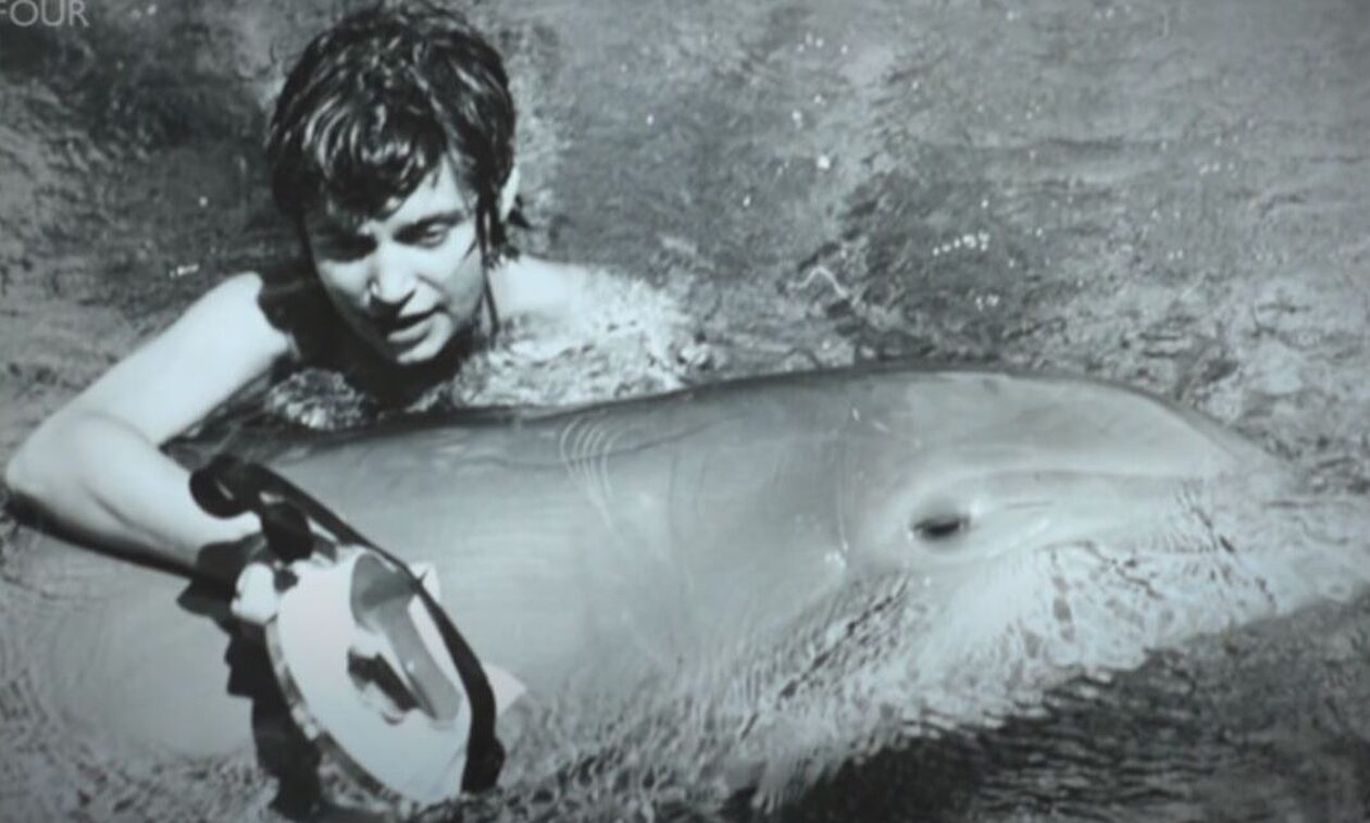 «Το δελφίνι που με αγάπησε»: Tο πείραμα της NASA που πήγε στραβά